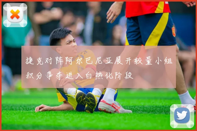 捷克对阵阿尔巴尼亚展开较量小组积分争夺进入白热化阶段
